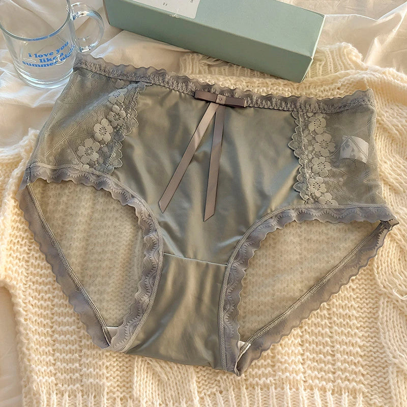 No. 7 Lingerie Panty, Full Coverage, High Waist, Brief, Sheer, Silky, Coquette, Plus Size Only