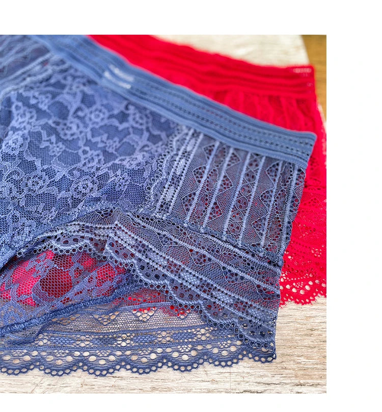 No. 6 Lingerie Panty, French Lace, Sheer, Full Coverage, High-Waist, Brief