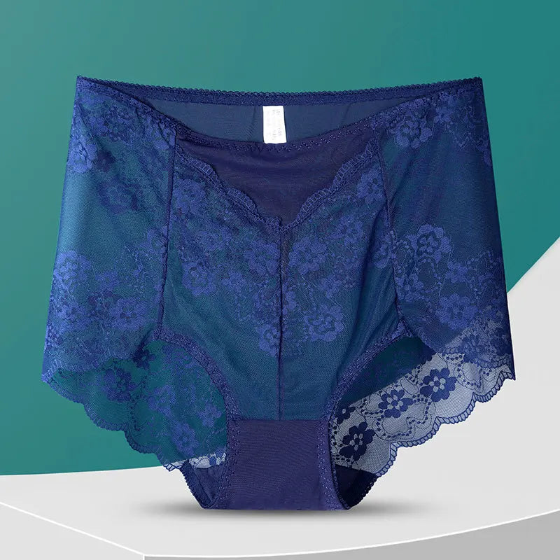 No. 8  Lingerie Panty, Delicate, Transparent Lace, Full Coverage Brief, Plus Sizes Only