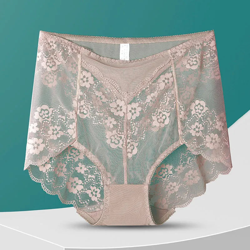 No. 8  Lingerie Panty, Delicate, Transparent Lace, Full Coverage Brief, Plus Sizes Only