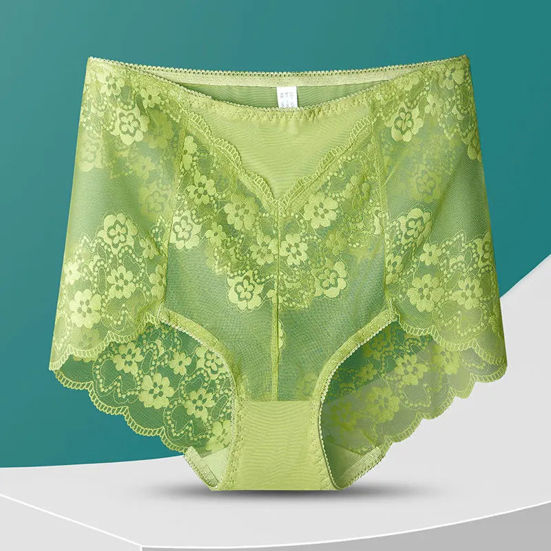 No. 8  Lingerie Panty, Delicate, Transparent Lace, Full Coverage Brief, Plus Sizes Only