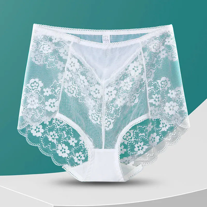 No. 8  Lingerie Panty, Delicate, Transparent Lace, Full Coverage Brief, Plus Sizes Only