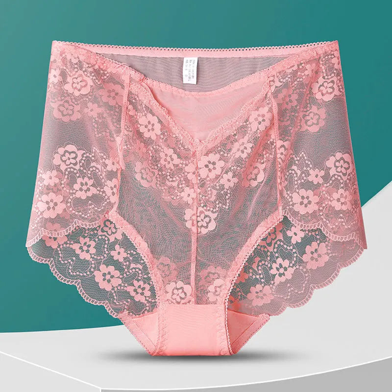 No. 8  Lingerie Panty, Delicate, Transparent Lace, Full Coverage Brief, Plus Sizes Only