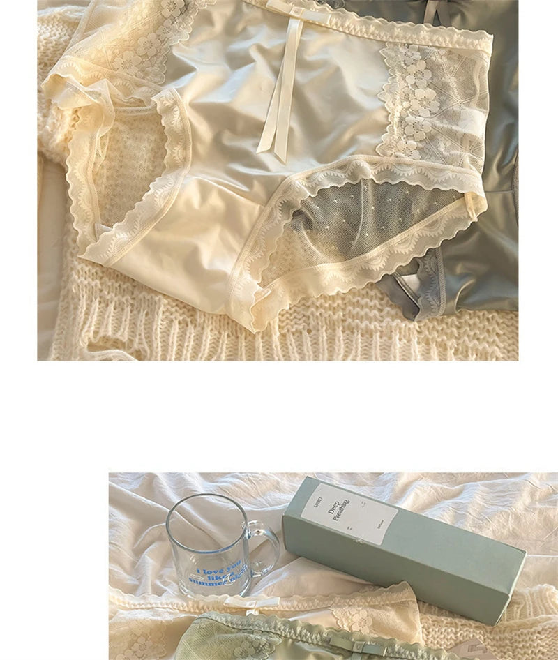 No. 7 Lingerie Panty, Full Coverage, High Waist, Brief, Sheer, Silky, Coquette, Plus Size Only