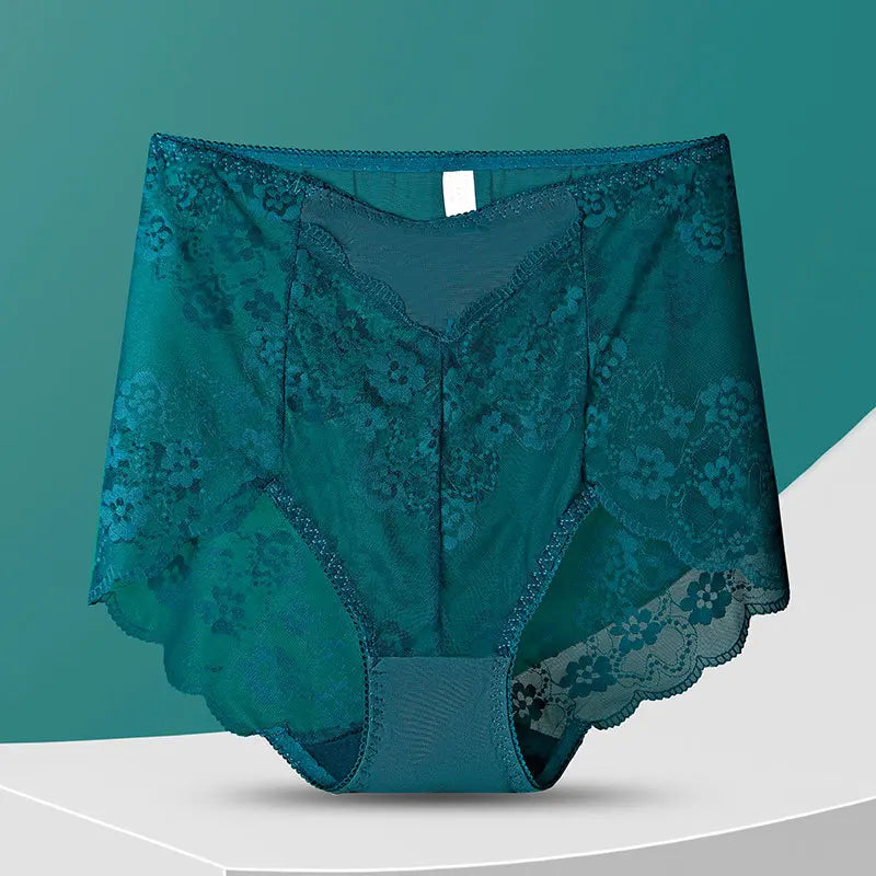 No. 8  Lingerie Panty, Delicate, Transparent Lace, Full Coverage Brief, Plus Sizes Only