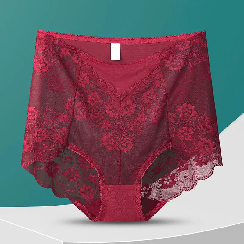 No. 8  Lingerie Panty, Delicate, Transparent Lace, Full Coverage Brief, Plus Sizes Only