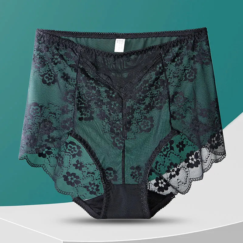 No. 8  Lingerie Panty, Delicate, Transparent Lace, Full Coverage Brief, Plus Sizes Only