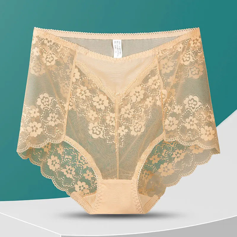 No. 8  Lingerie Panty, Delicate, Transparent Lace, Full Coverage Brief, Plus Sizes Only