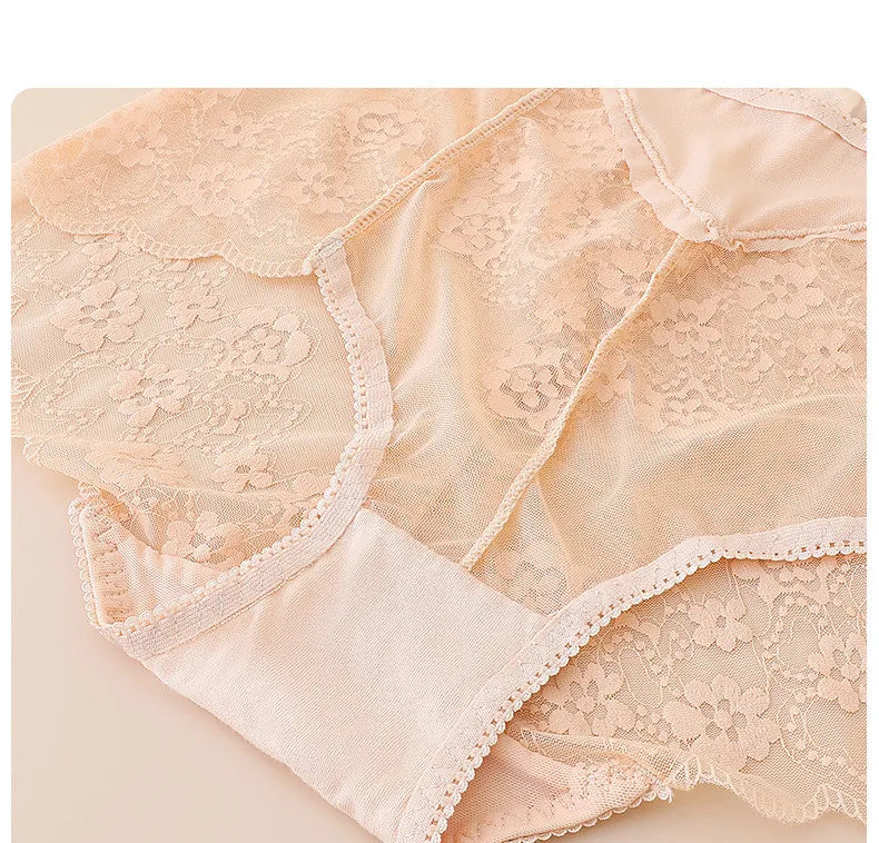 No. 8  Lingerie Panty, Delicate, Transparent Lace, Full Coverage Brief, Plus Sizes Only