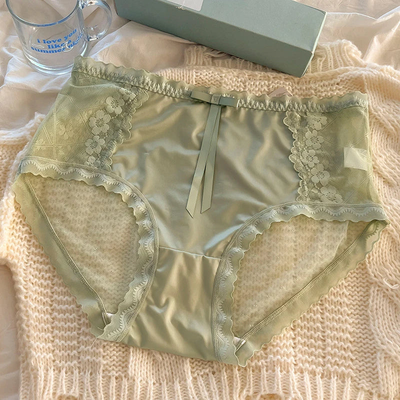 No. 7 Lingerie Panty, Full Coverage, High Waist, Brief, Sheer, Silky, Coquette, Plus Size Only