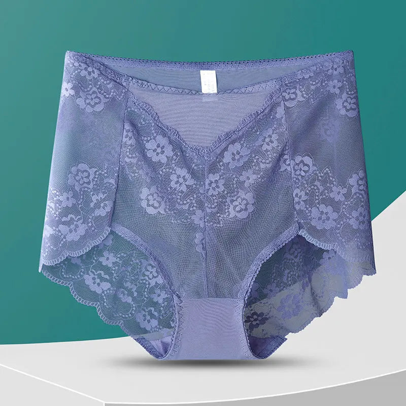 No. 8  Lingerie Panty, Delicate, Transparent Lace, Full Coverage Brief, Plus Sizes Only