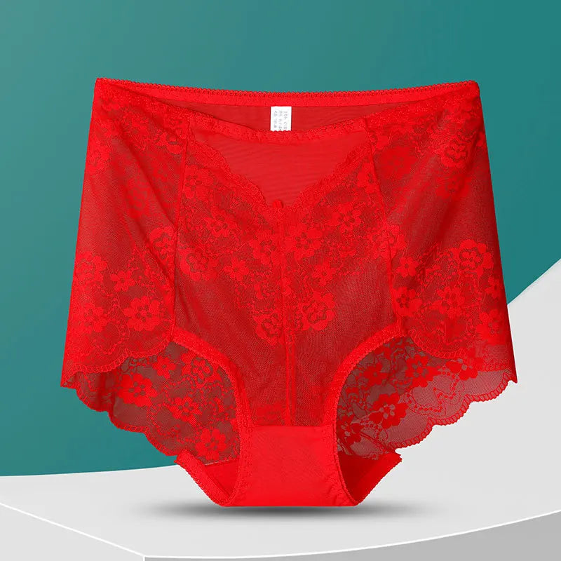 No. 8  Lingerie Panty, Delicate, Transparent Lace, Full Coverage Brief, Plus Sizes Only